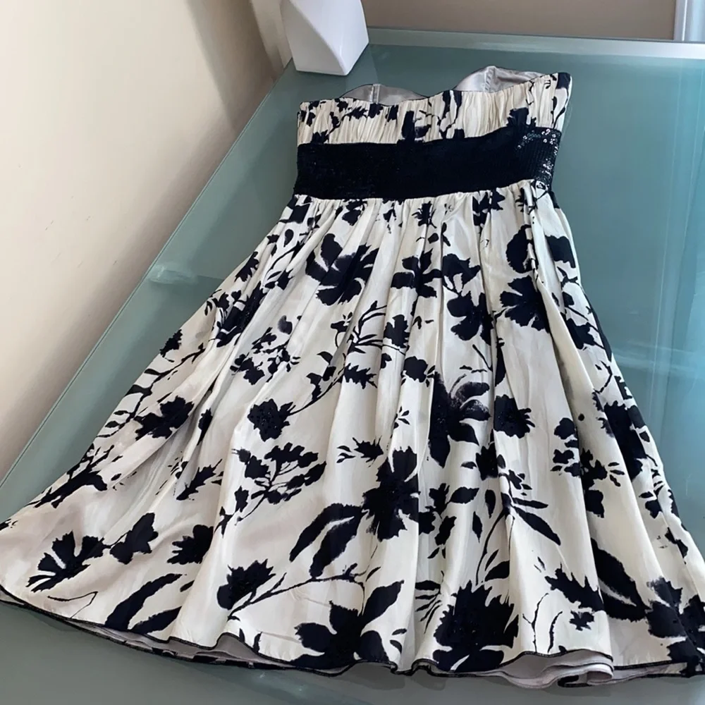 SILK Dress Lyndia Procanik Silk Dress with Beads Size 4 MSRP $398